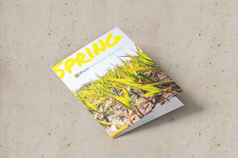 photography and design for iFarm